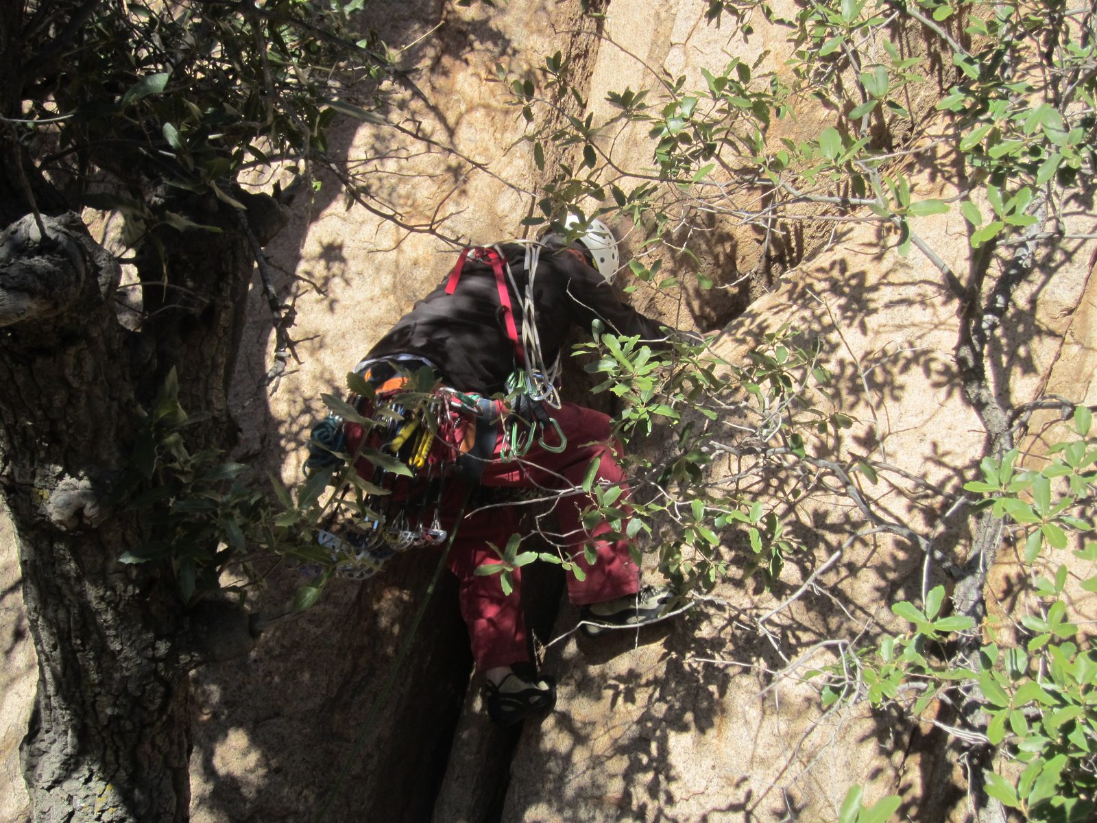 John works on the bottom of Driven By Fear (5.8) at the Cochise Stronghold.