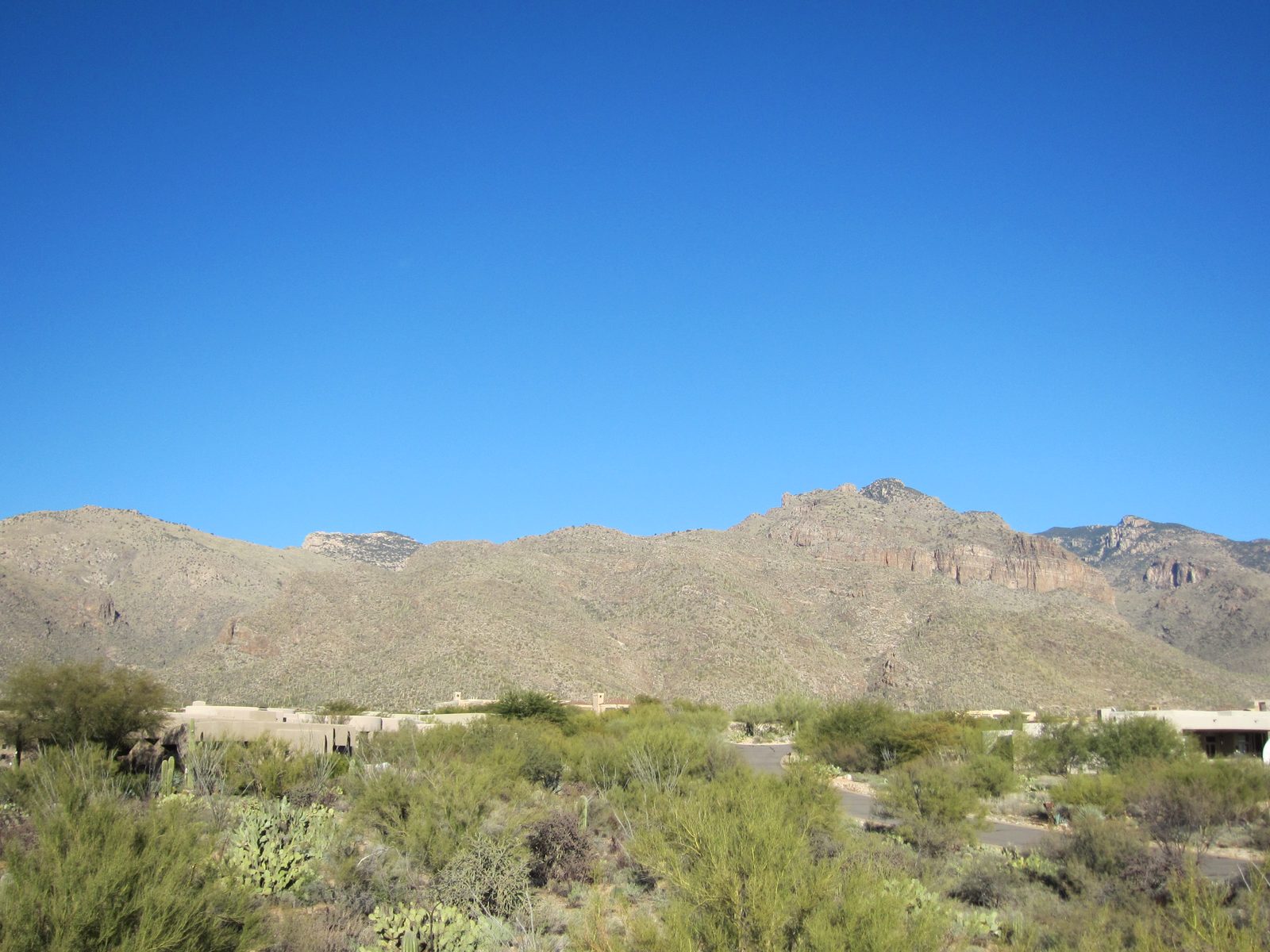 Looking at the Catalina Mountains from Mom and Dad's roof.