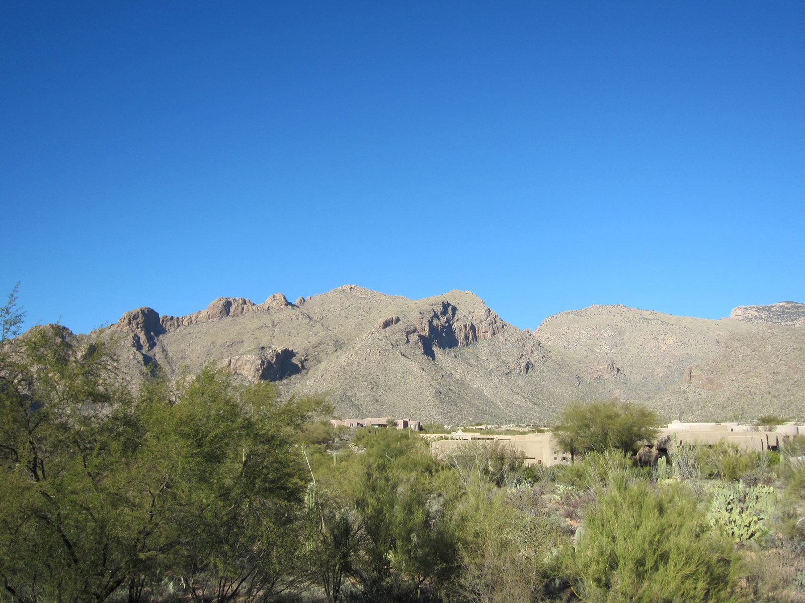 Catalinas, towards Pima Canyon.