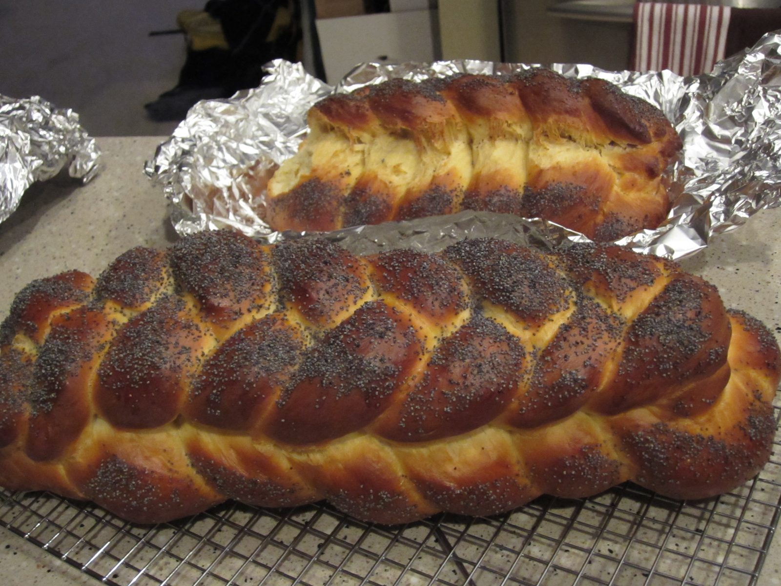 The loaf in the back was made first.  While making the second, I decided I had probably used the...