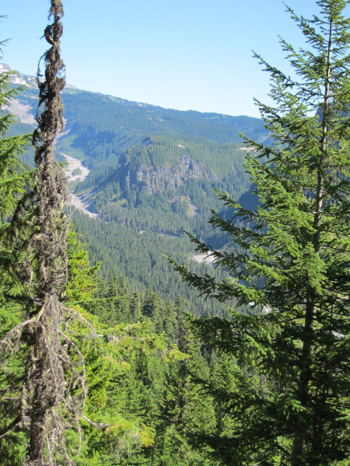 The Nisqually River bed snakes down the canyon; the river itself is very small within that. ...