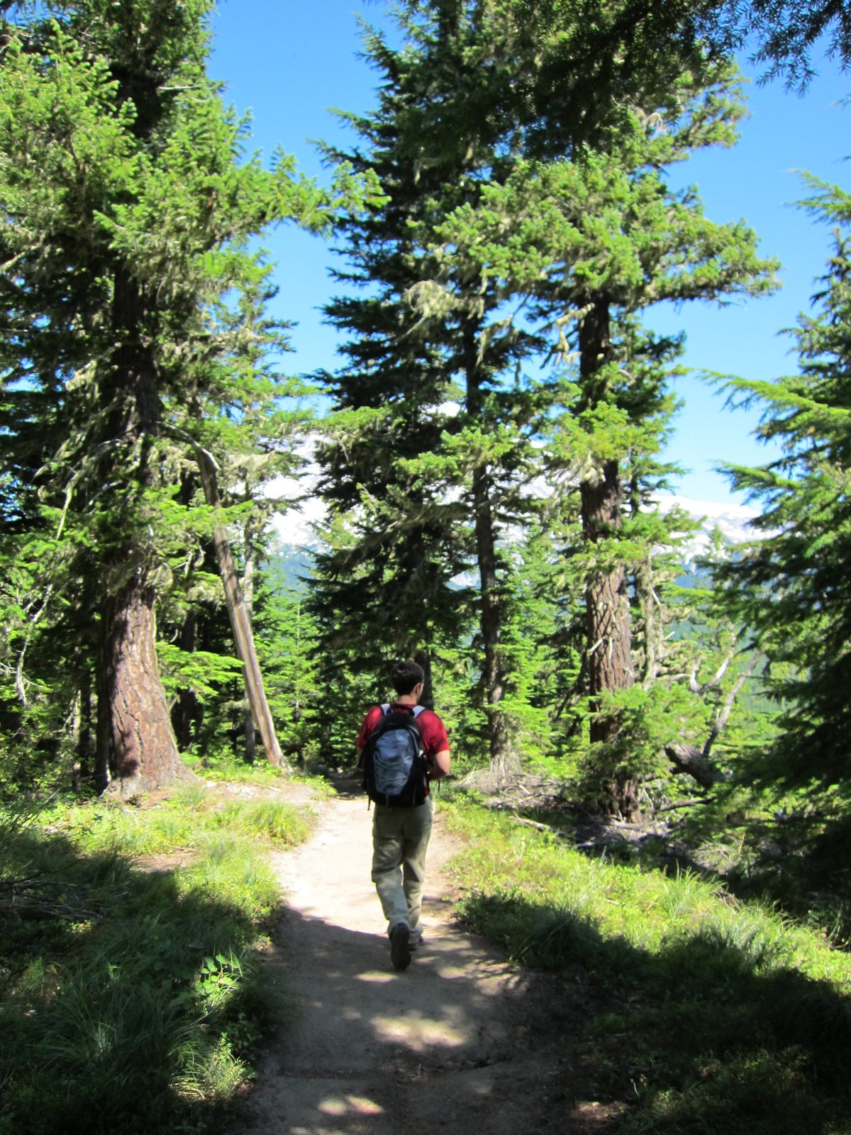 Jay hiking...