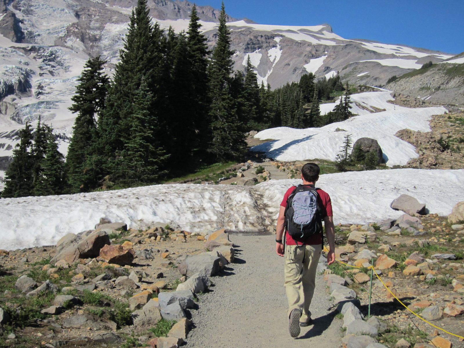 Jay hikes confidently towards a slight obstacle on the path.