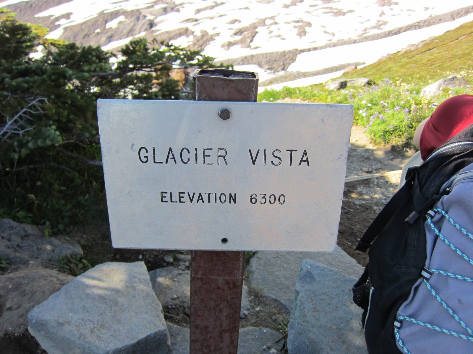 We made it to Glacier Vista, 6300 ft.  Paradise was at 5400 ft, I believe.  Rainier is just over...