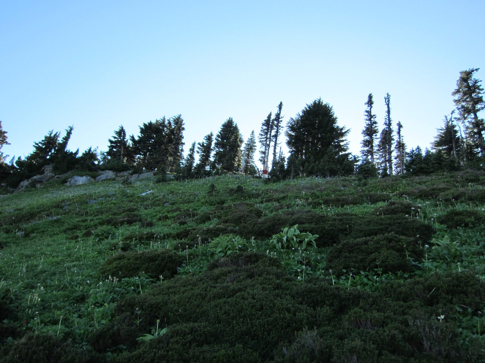 Where's Waldo, Skyline Trail edition.