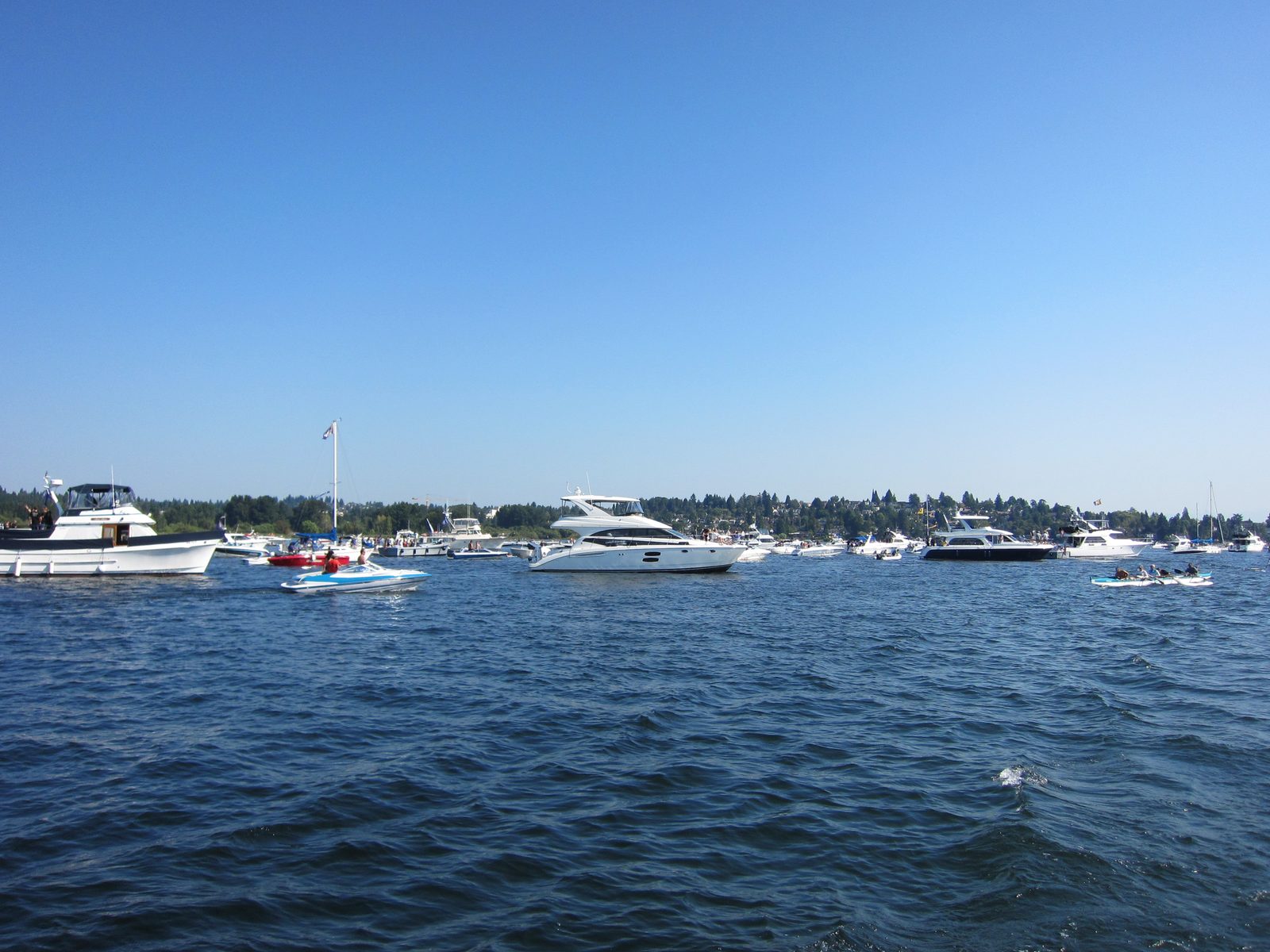 Boats in Lake Washington