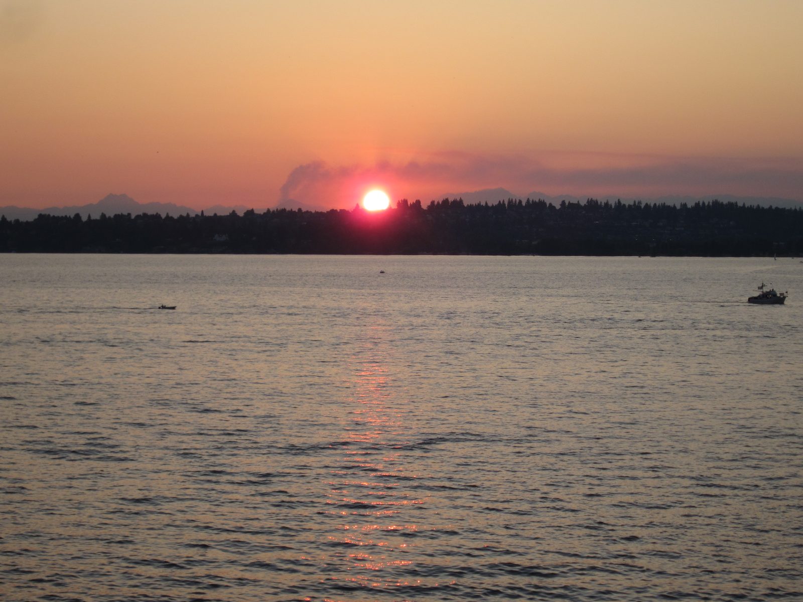Forest fires are no good, but the sunset sure was beautiful.
