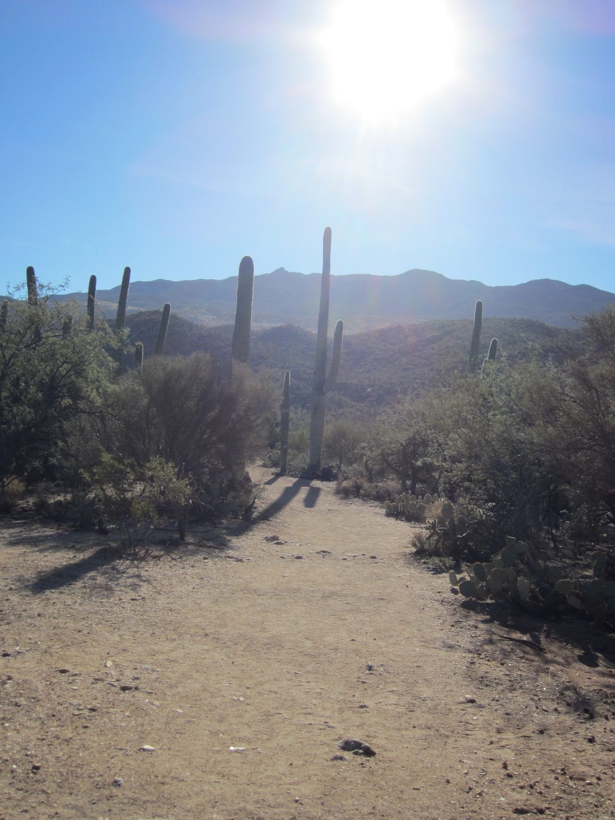 Looking up the path.  What a glorious day!