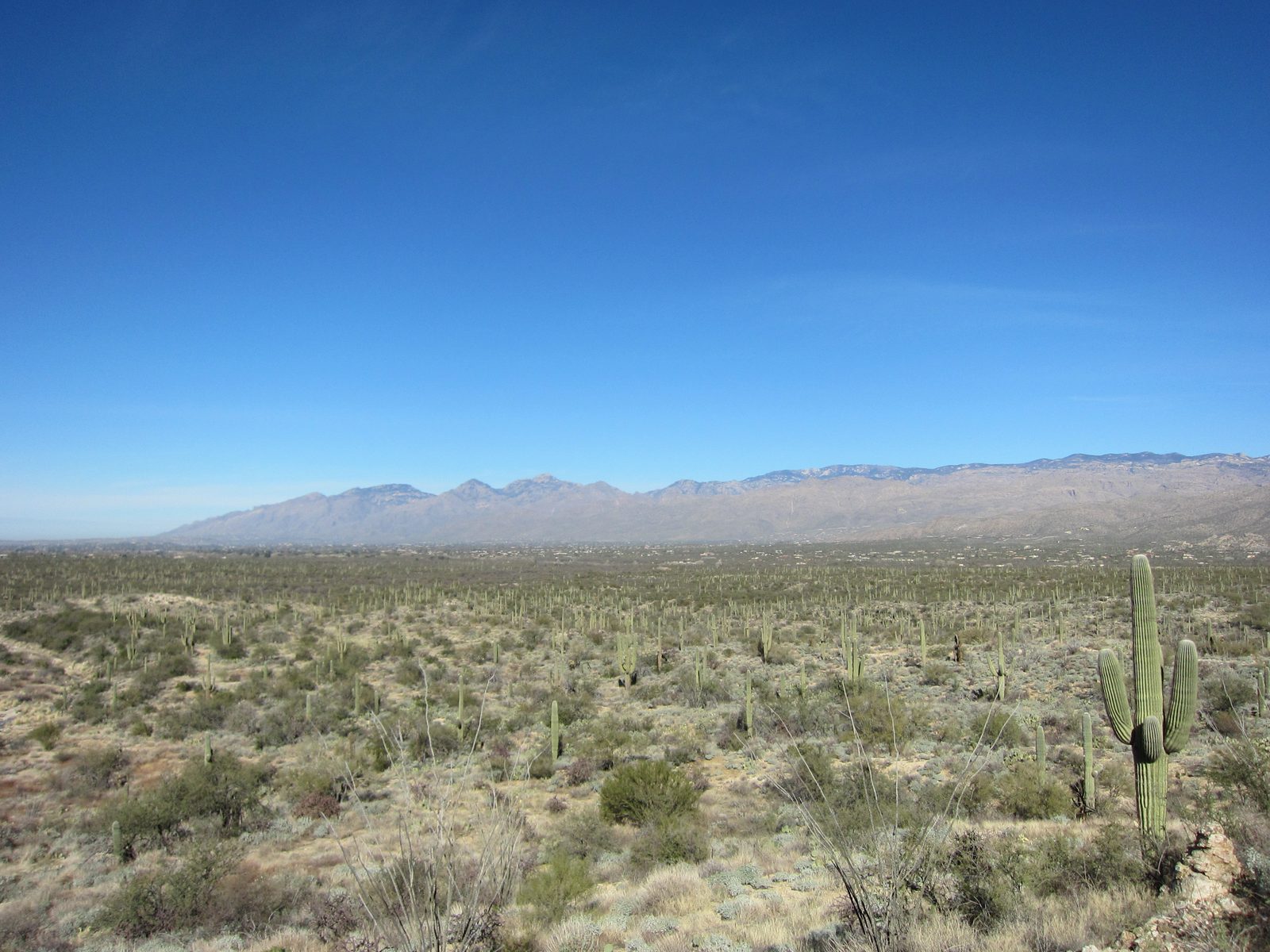 More long-range views of Tucson.
