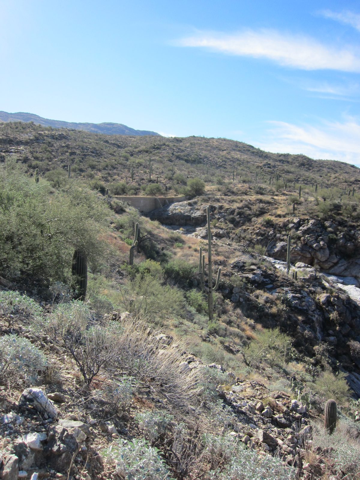 Looking towards a dam.