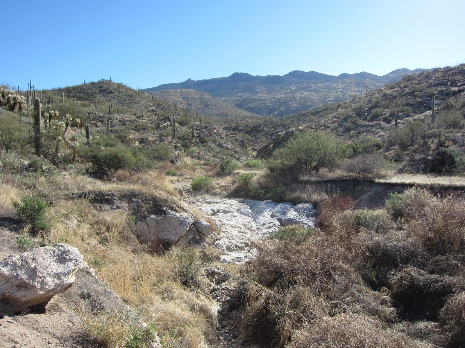 One more look upstream into the Rincon Mountains (or, perhaps, the foothills of those mountains).