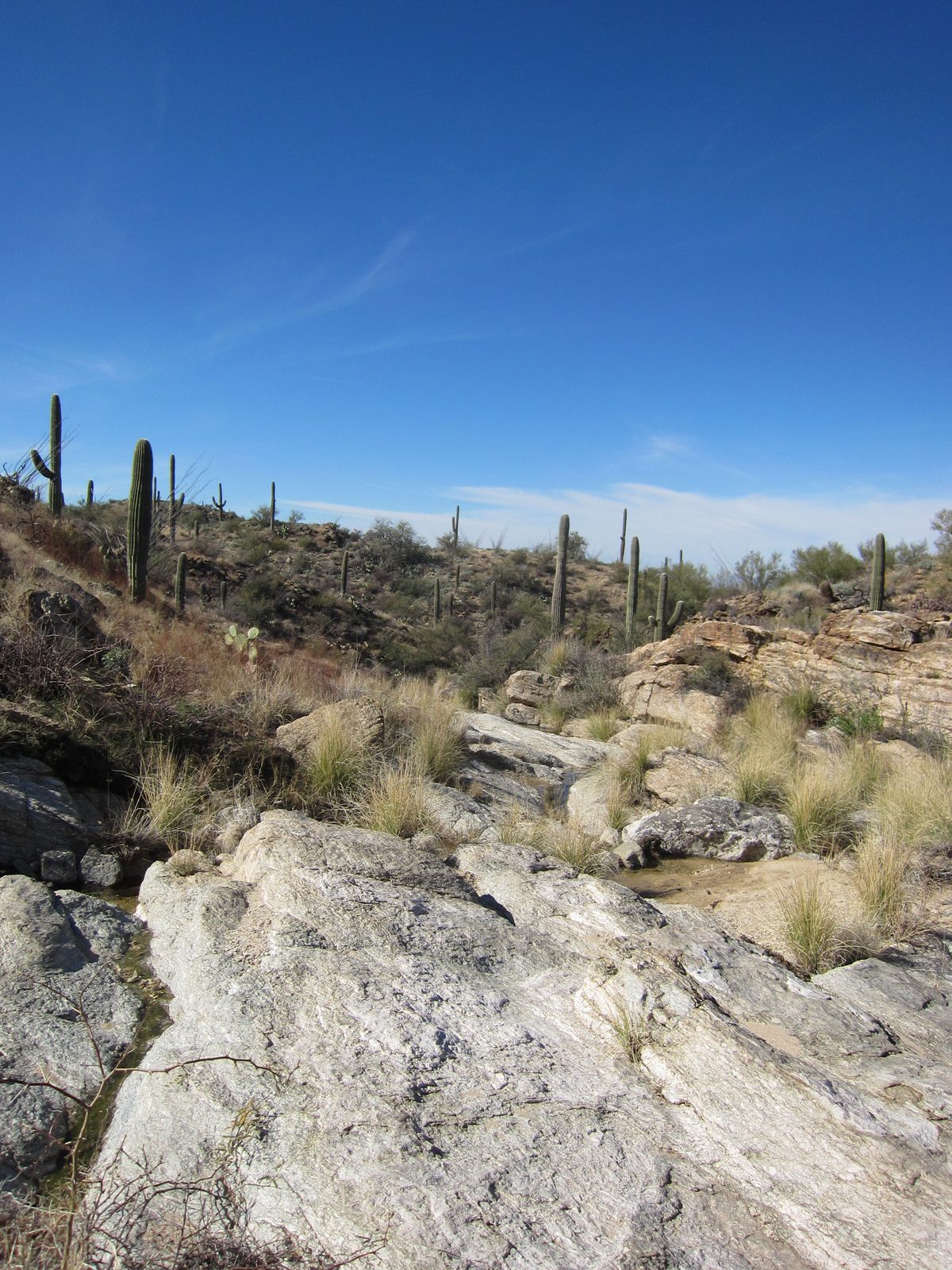 Looking down"stream".