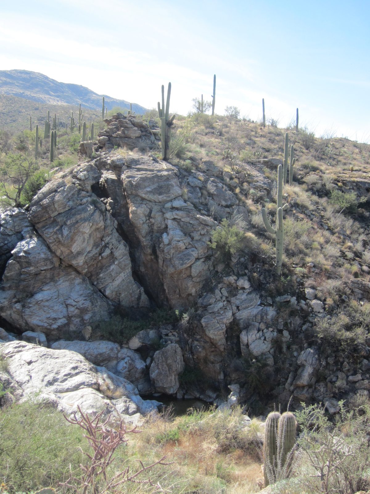 Looking back down towards another wash and the accumulated water.  The abundance of water sure...