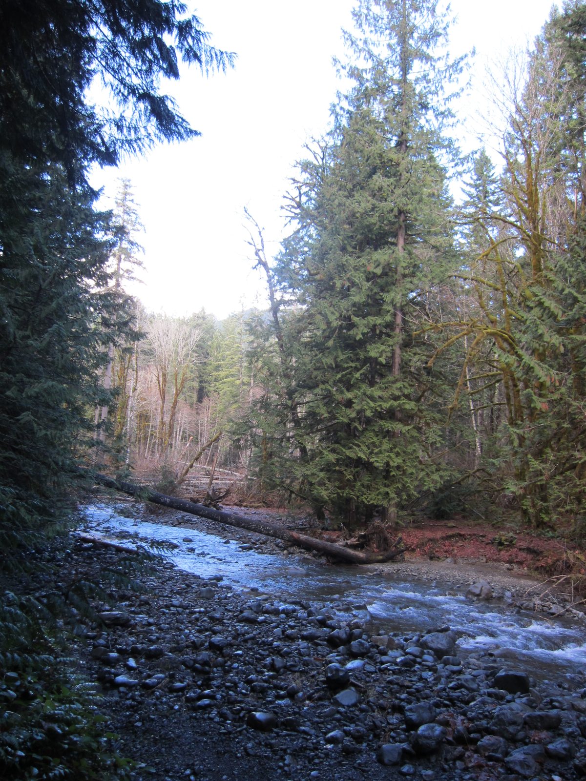If this is the Big Creek, it doesn't look so big...