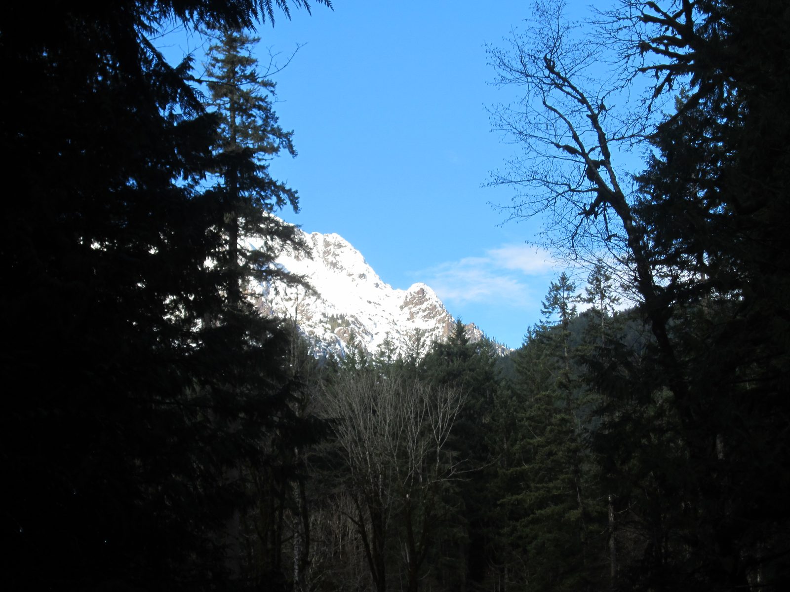 More views of mountains.