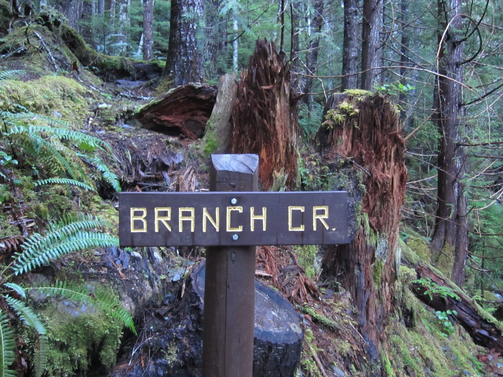 The bridge was over Branch Creek.