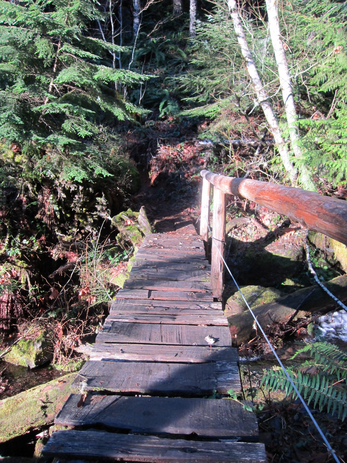 Oh! Here's the other half of that other bridge.  Sadly, I didn't take them from the same angle,...