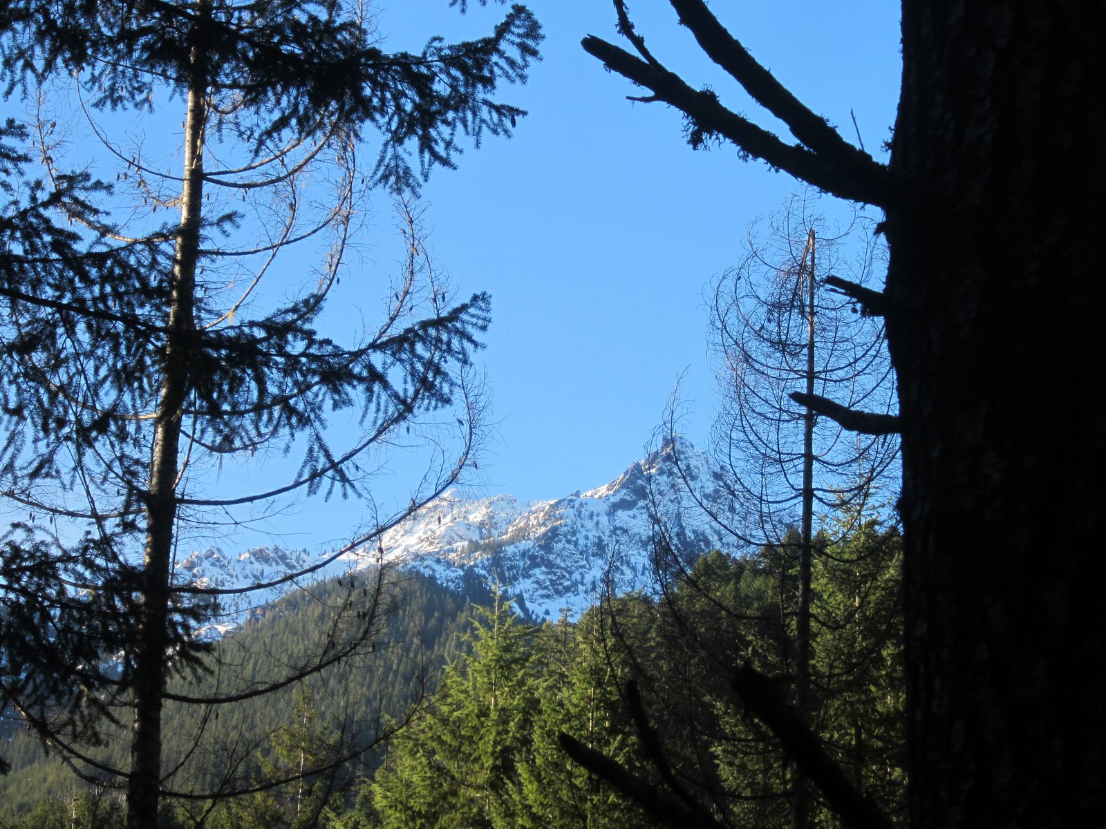 More of Mt Ellinor.  Diana has actually hiked this!