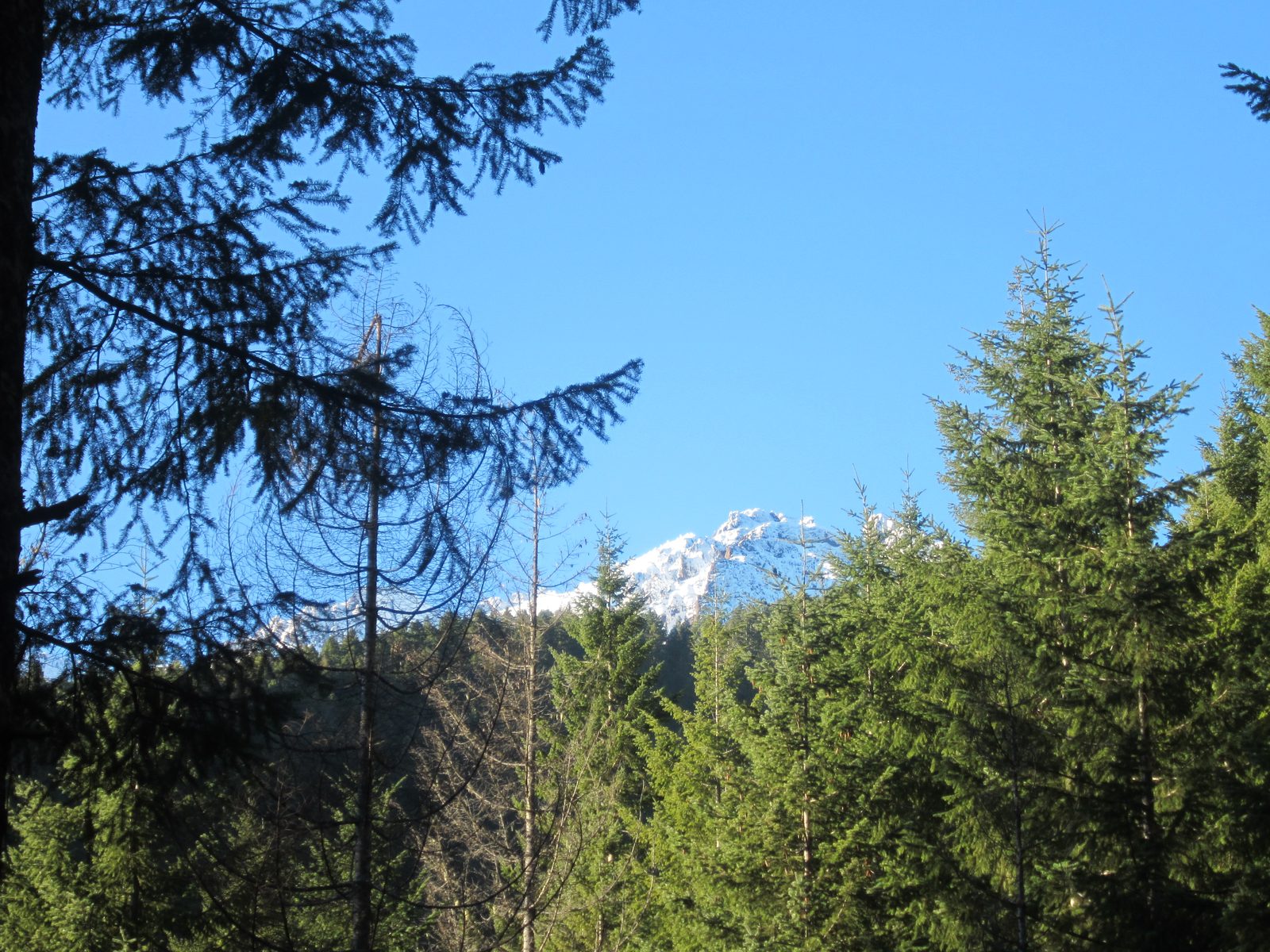 And this is Mount Washington.