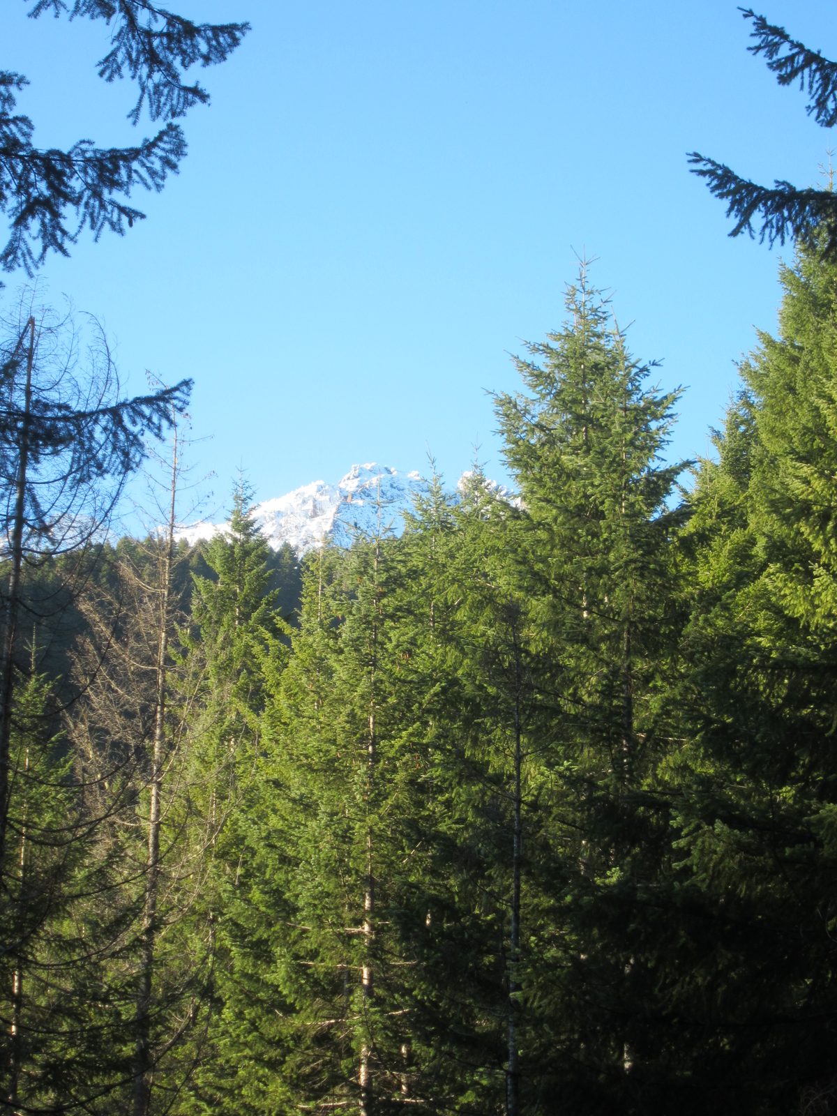 The mountains looked just spectacular.  These pictures do not even begin to do them justice.