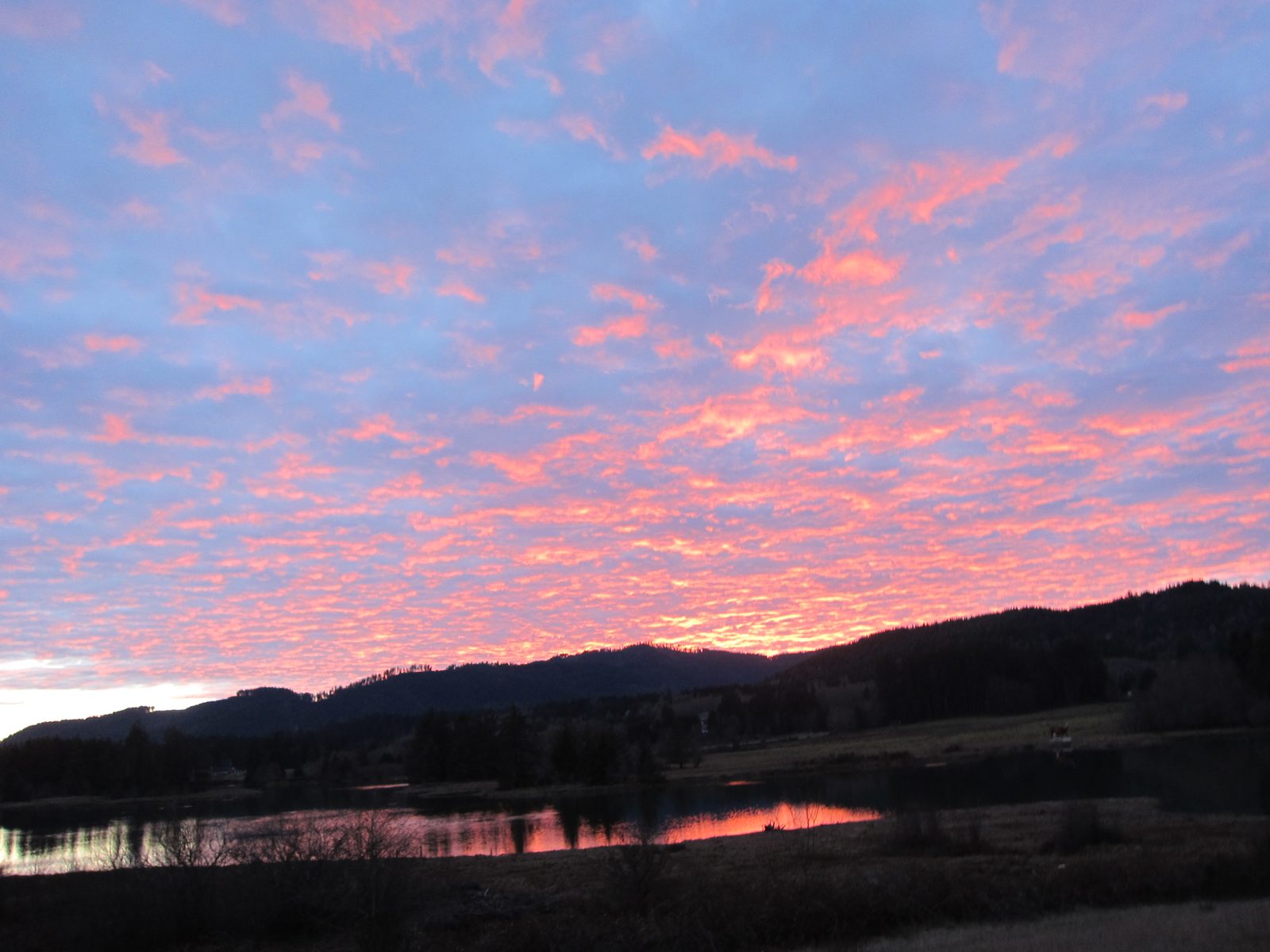 As if the day had not been incredible enough, we then realized the sunset over our shoulders was...