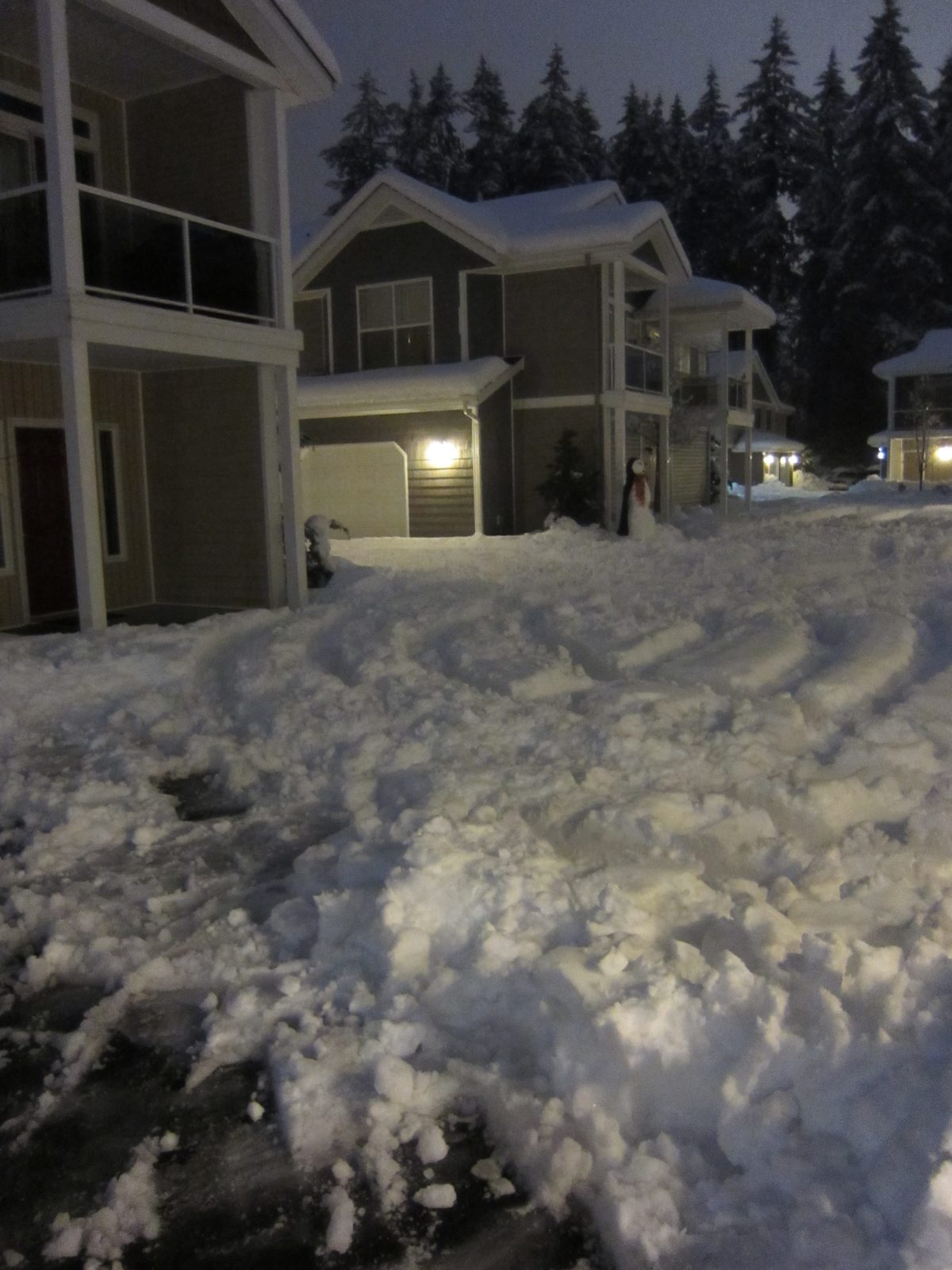 As no one else chose to shovel out their "driveway", being able to get out of my garage wouldn't...