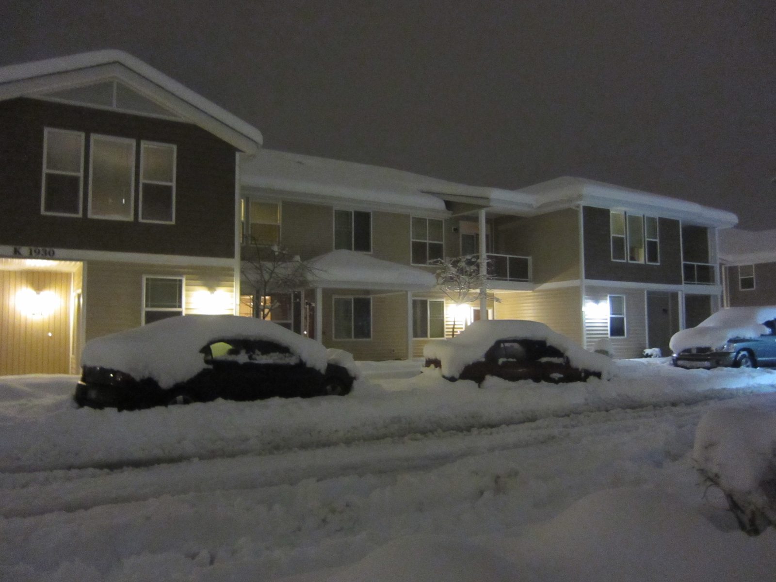 The main road through the complex.  There are two tire paths, but even if I could have gotten...