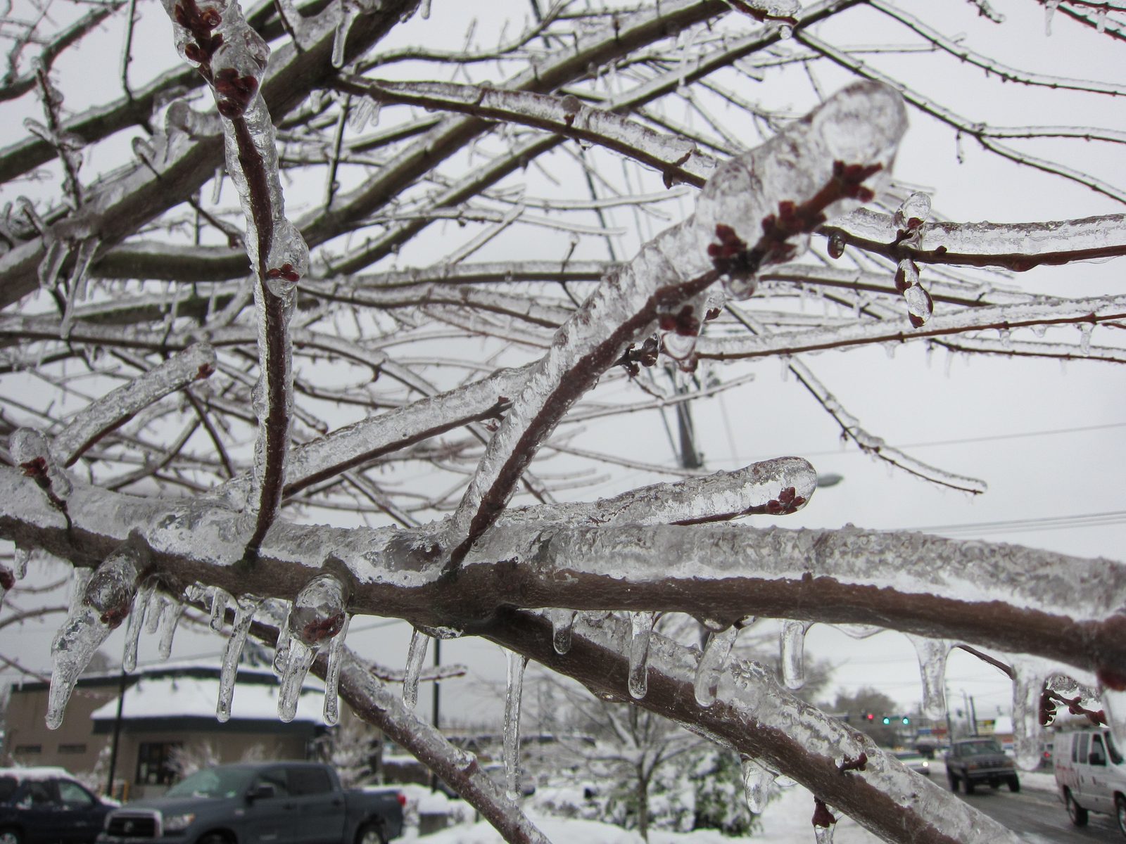 Like the bridge rail -- everything was coated in ice.