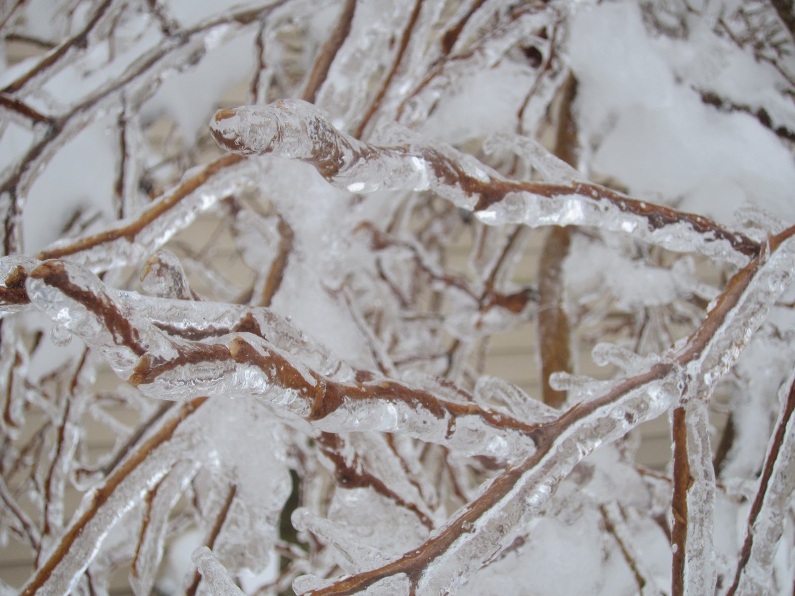 More beautiful ice.