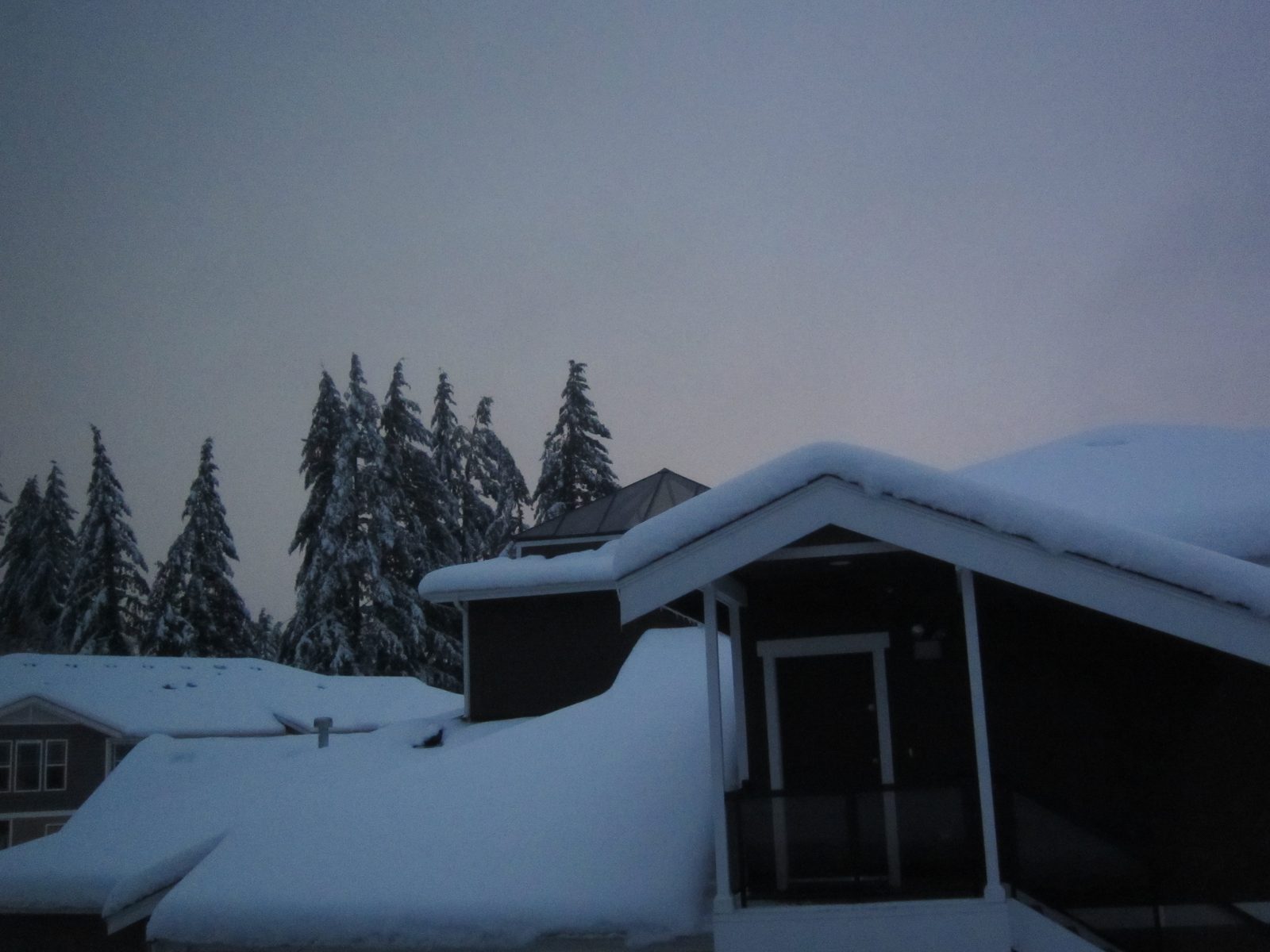 The sky was a beautiful color that isn't really captured in this.  Those big trees were some of...