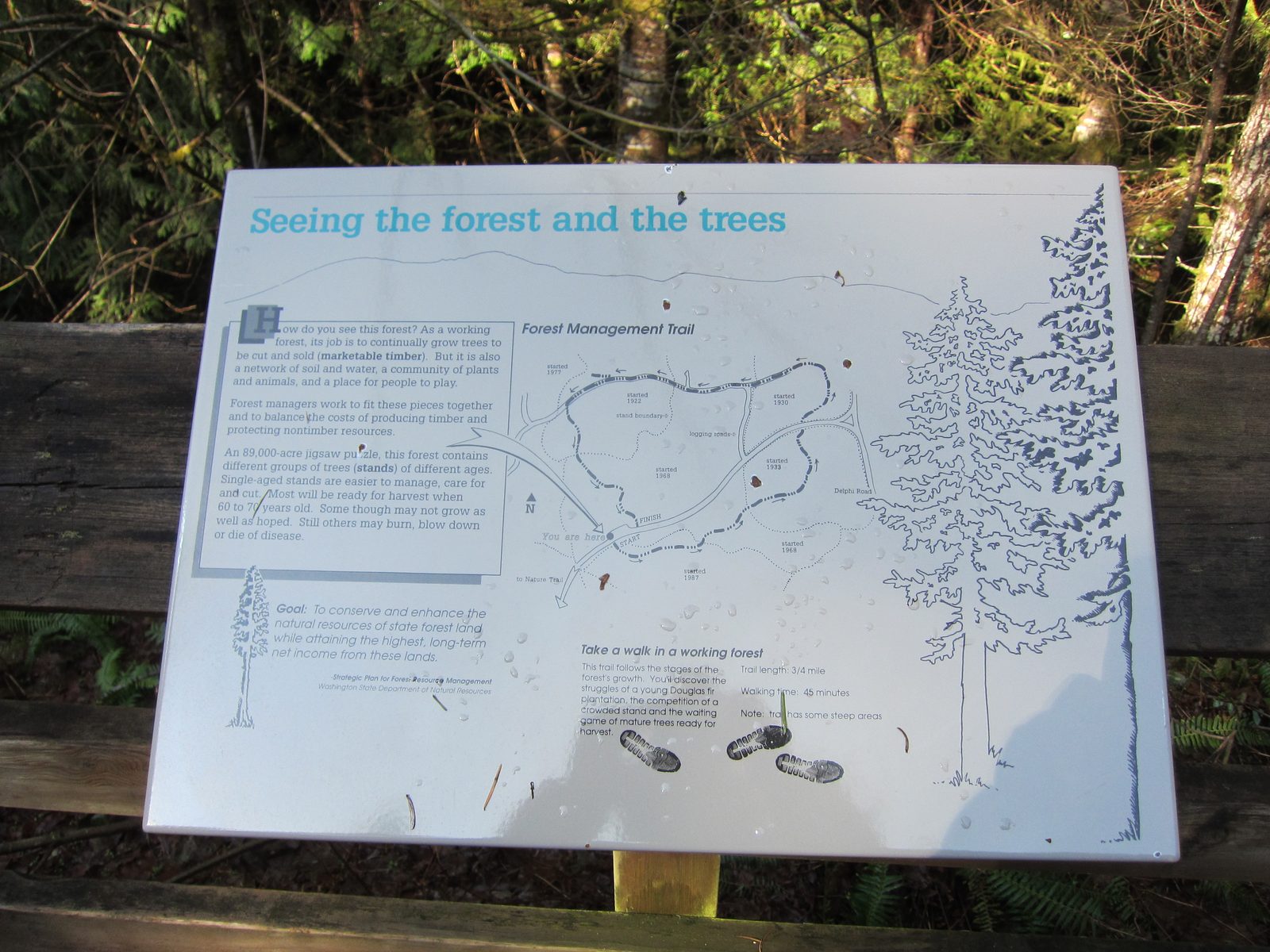 Like good hikers, I took pictures of the map in case we got lost.  We didn't get lost, but it...