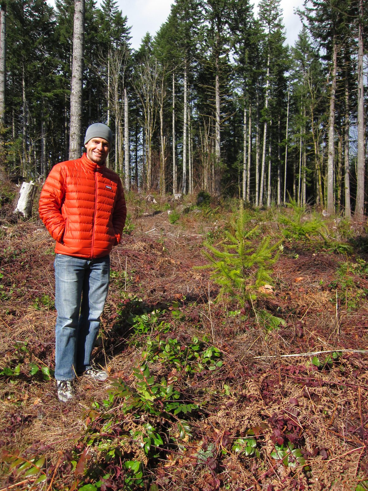 There were a few signs along the trail, explaining that this area was expected to be cleared in...