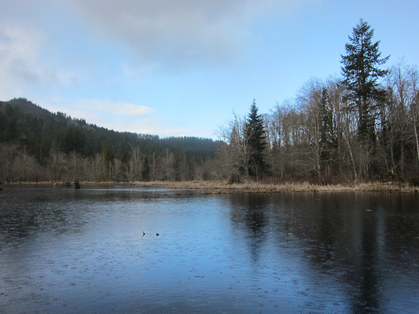 The beaver pond.  Note that while there is still blue in the sky, there is rail/sleet hitting...