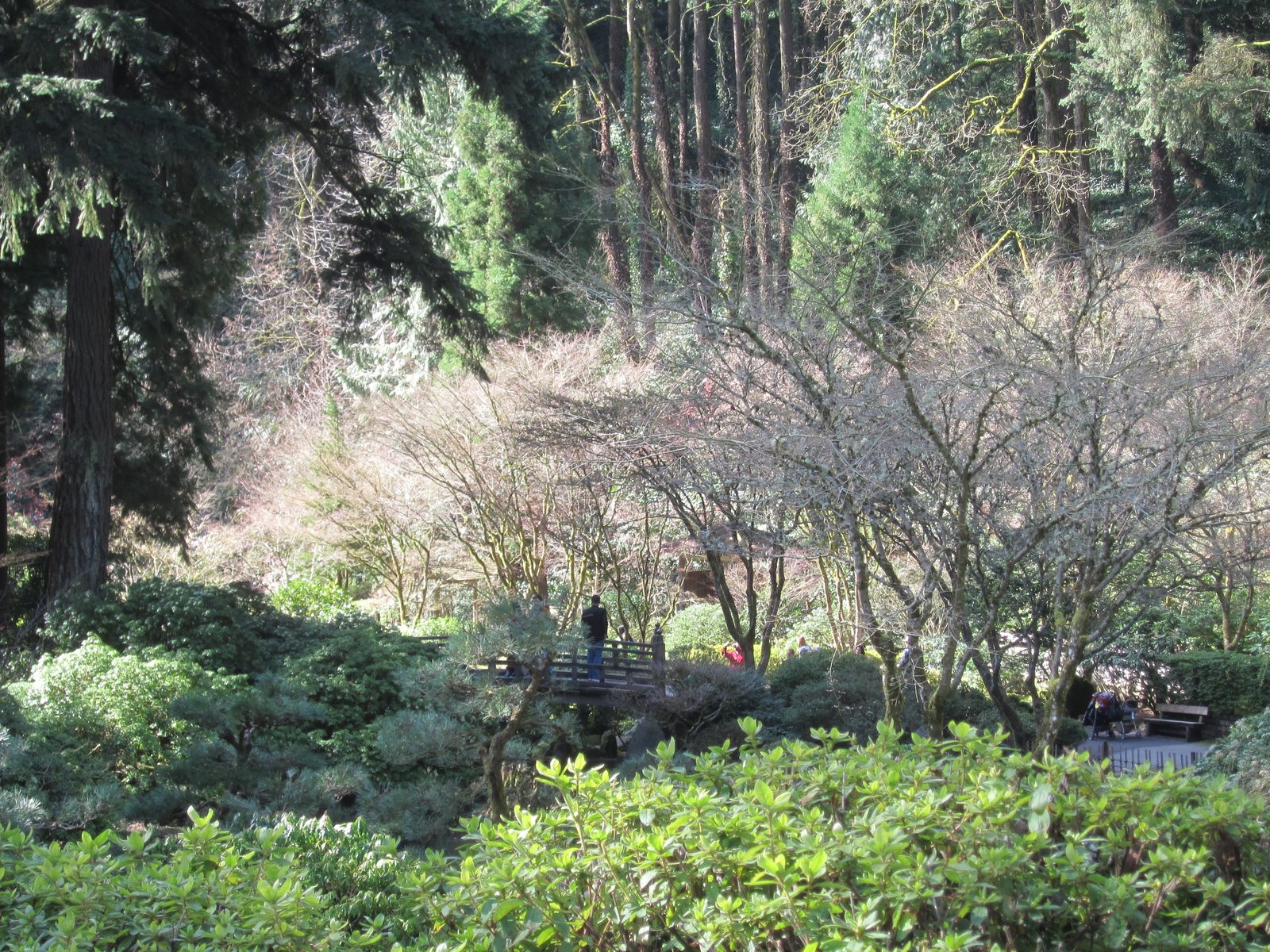 Looking into the Japanese Garden ( http://japanesegarden.com/ )... we didn't go in, though.