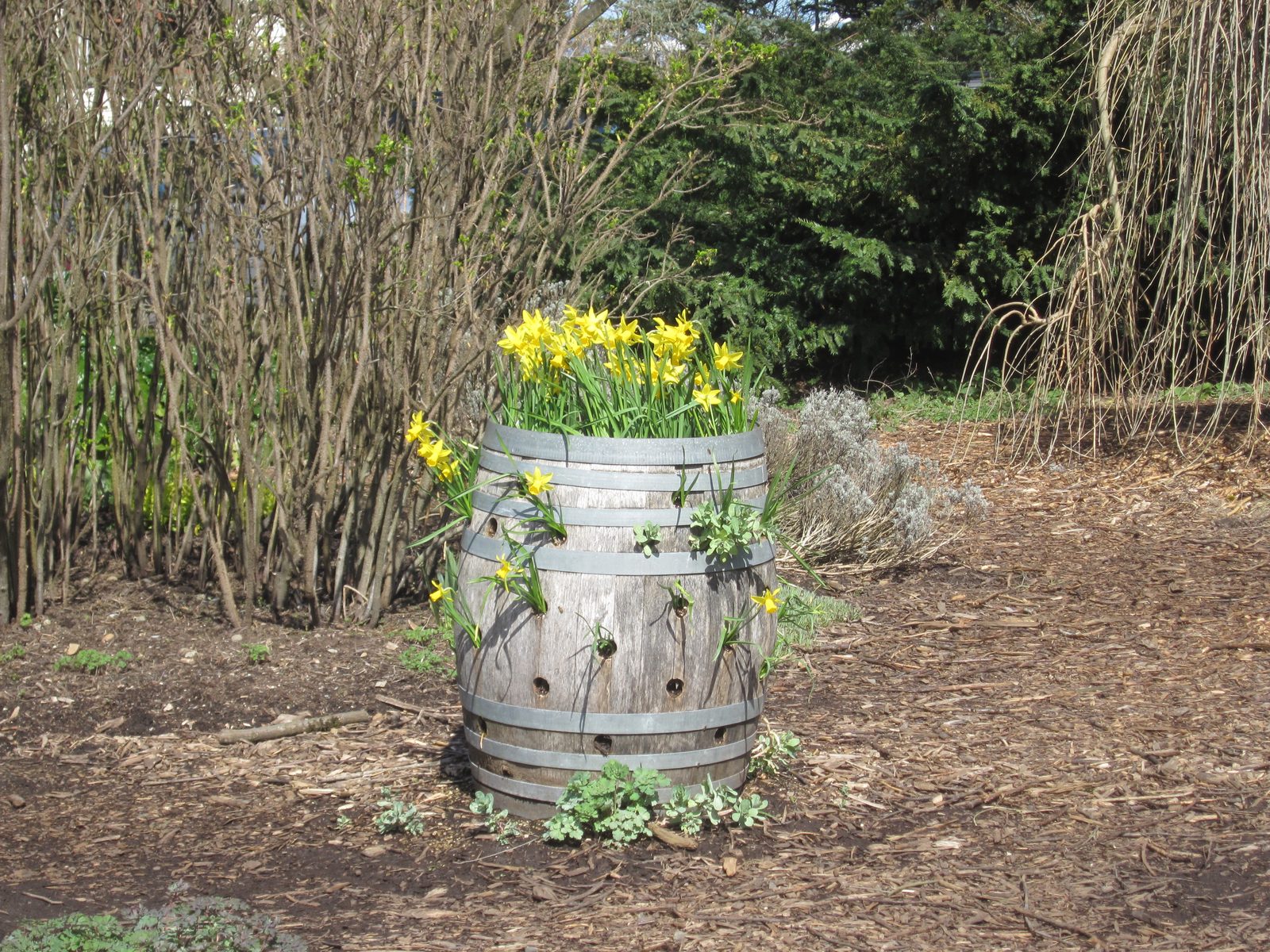 Barrels-full, even.