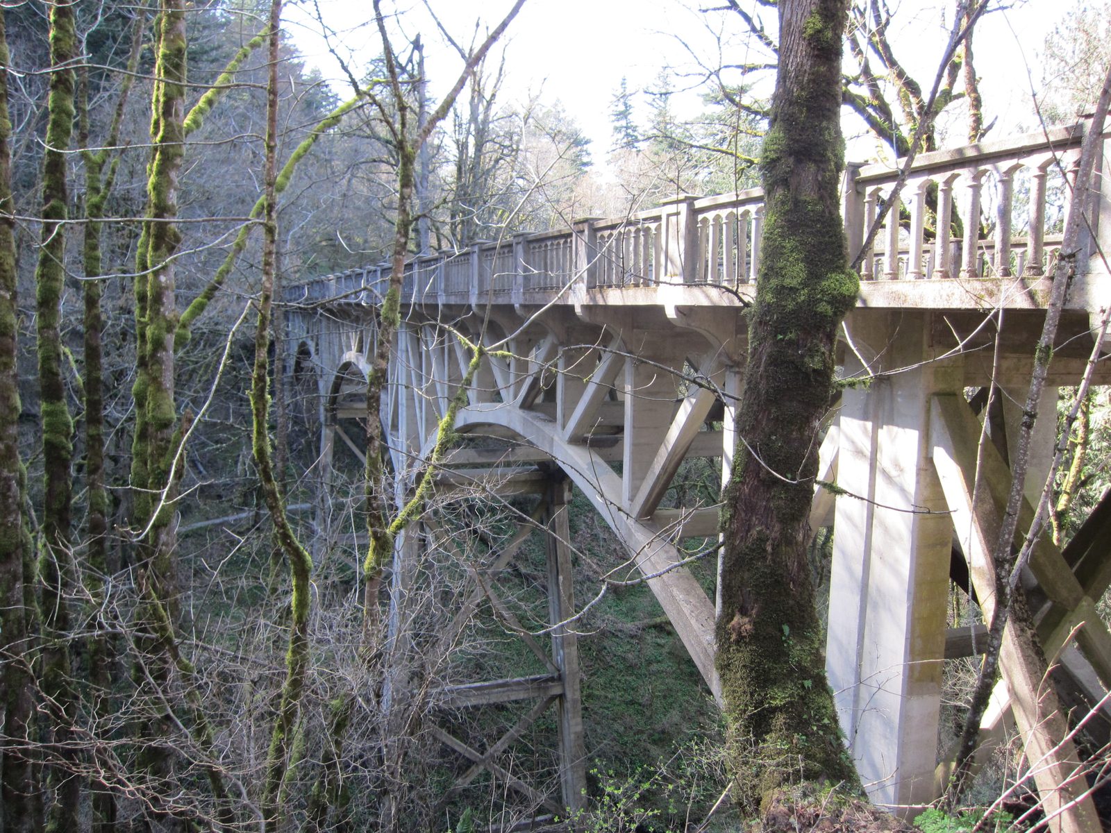 A bridge!  There was also a waterfall (Latourell Falls), but the bridge was cooler.