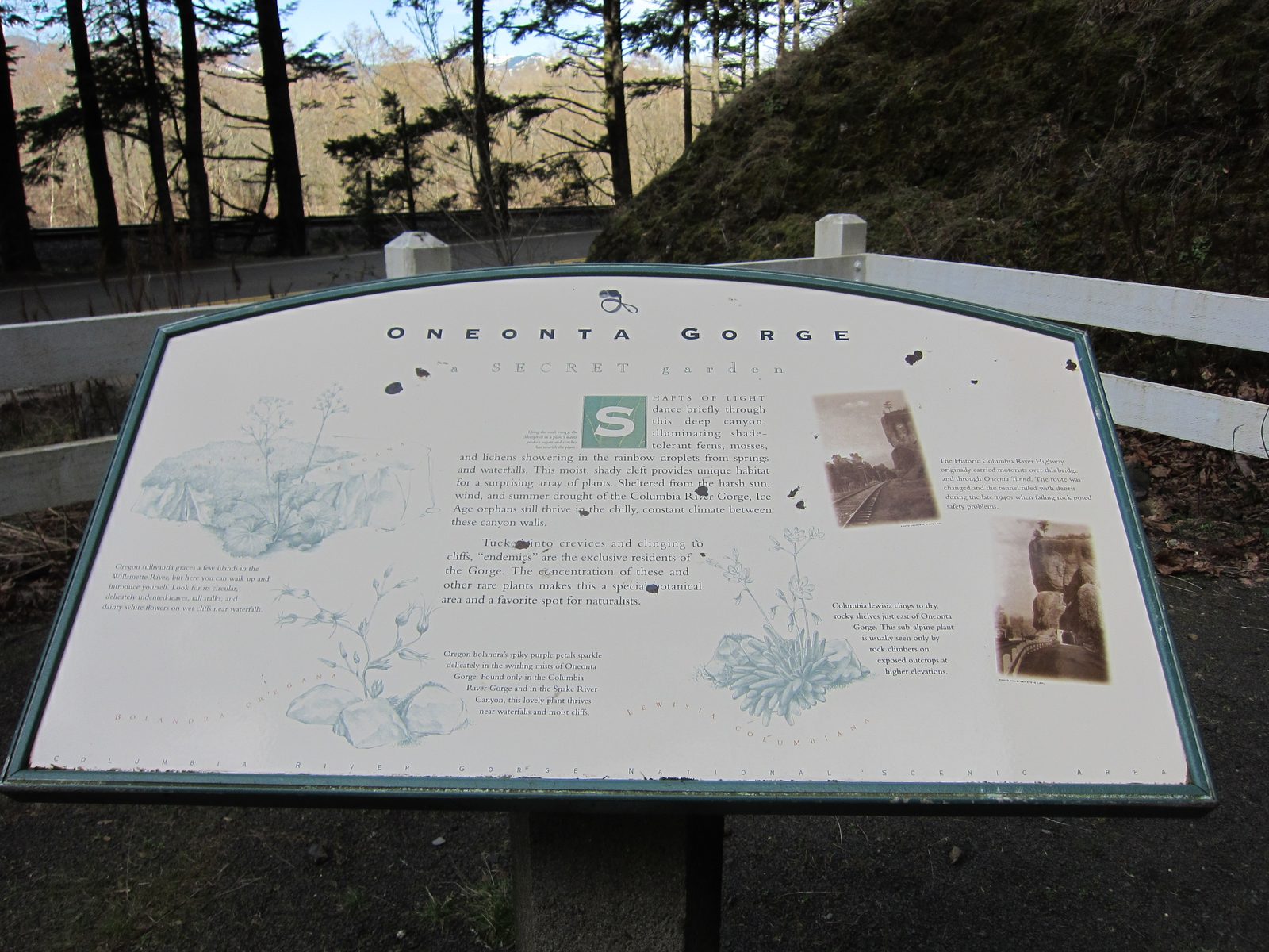 The tunnel was apparently located near the Oneonta Gorge.