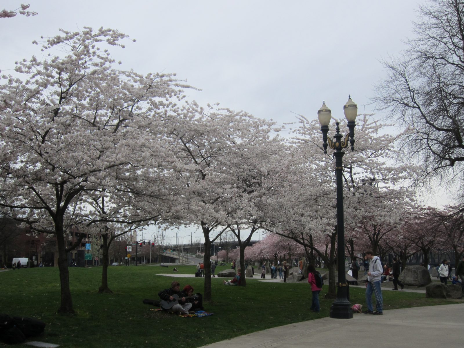 After brunch, we went to the Portland Saturday Market (which also happens on Sundays).  I liked...