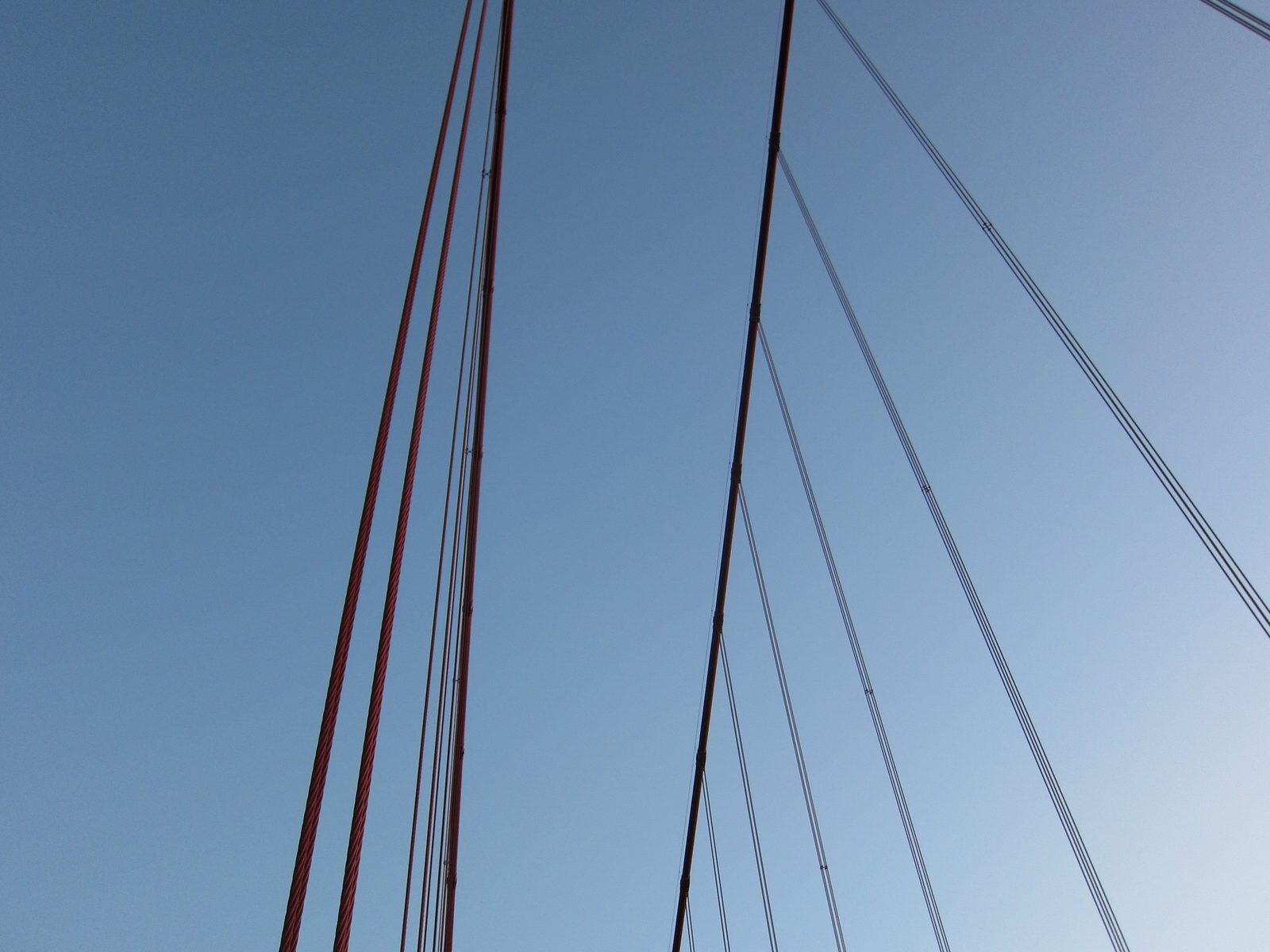Looking up at the GGB hanger cables.