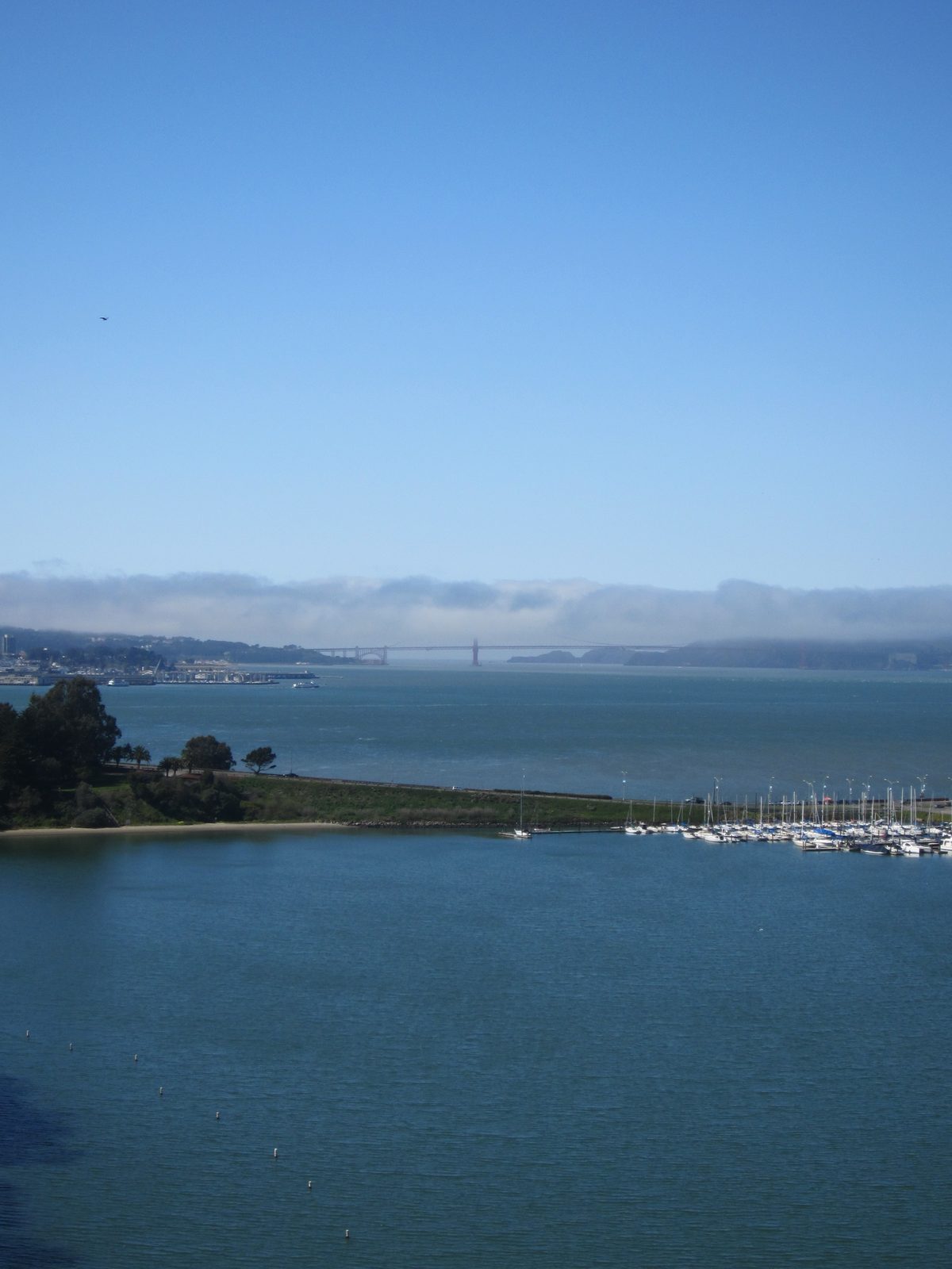 Looking towards the Golden Gate.  Good thing our tour wasn't over there, it looks foggy!