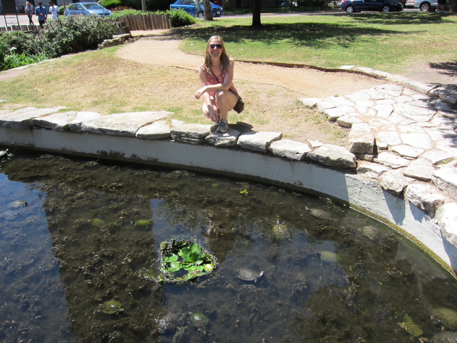 Diana with the turtle pond.  How many turtles can you find?