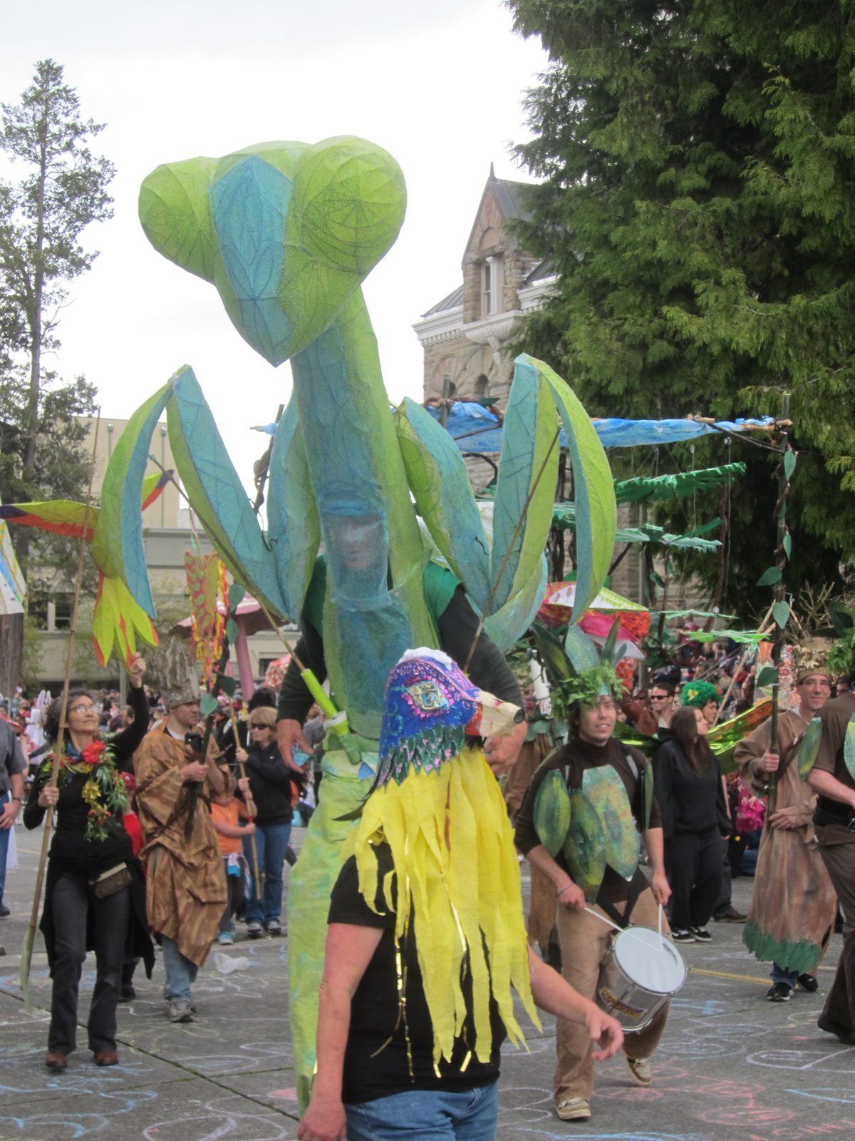 Praying mantis.  Apparently some of the bigger, airier displays were part of an illuminated...