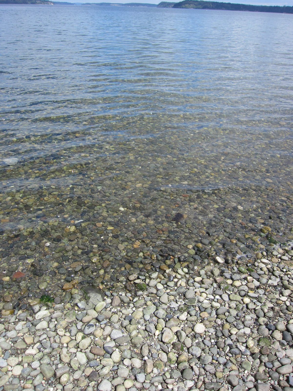 Lots of rocks.