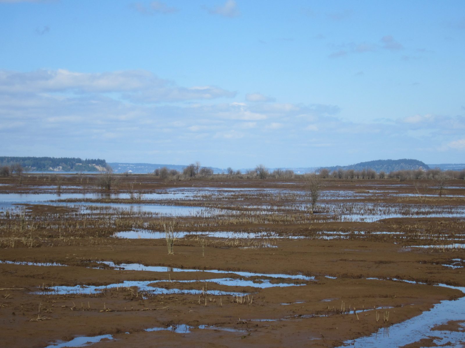 I think I'm trying to get a picture of the Tacoma Narrows Bridge.  It's visible from this area...