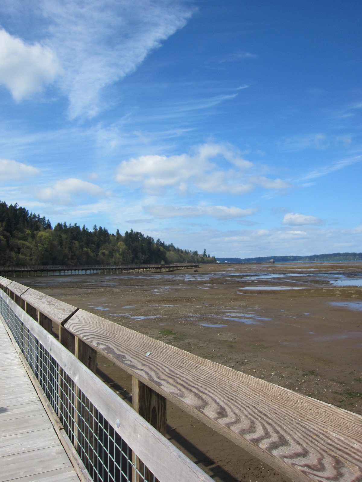 Looking west from the boardwalk.