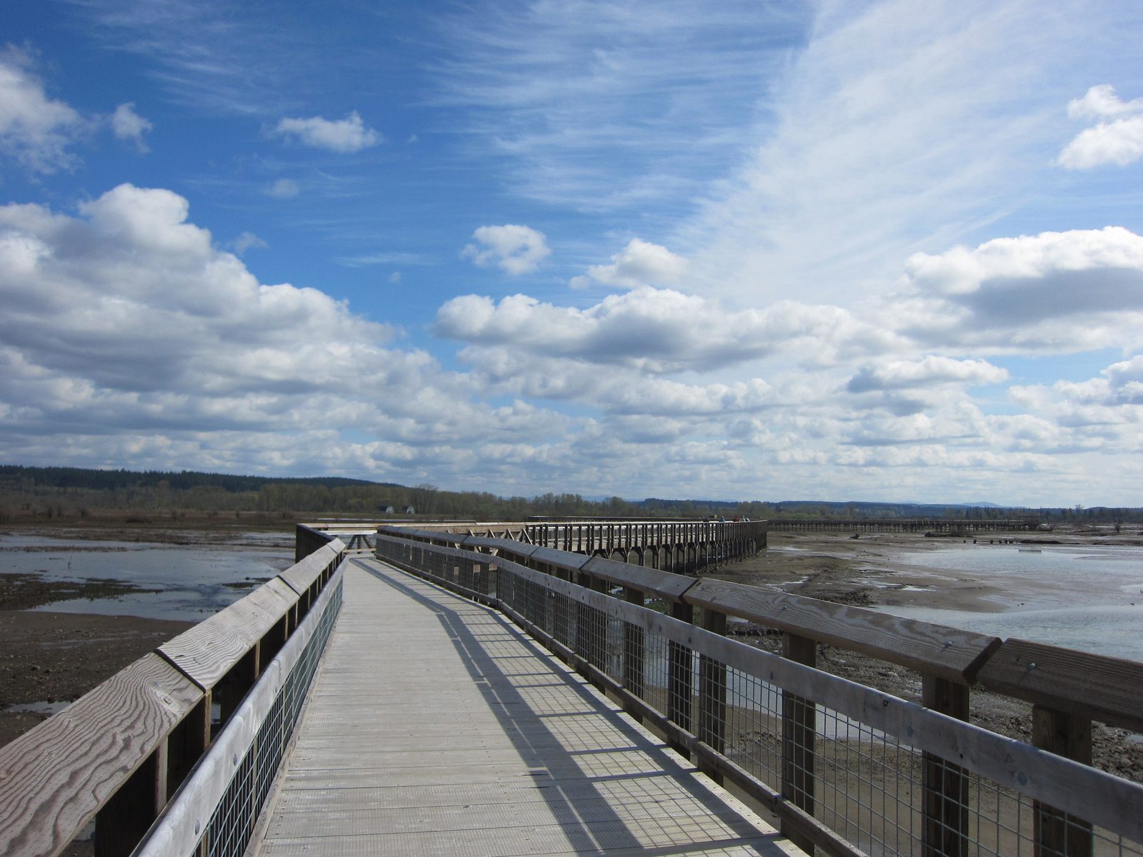 There's a lot of boardwalk to go...  At some point, we decided we wanted to get all the way to a...