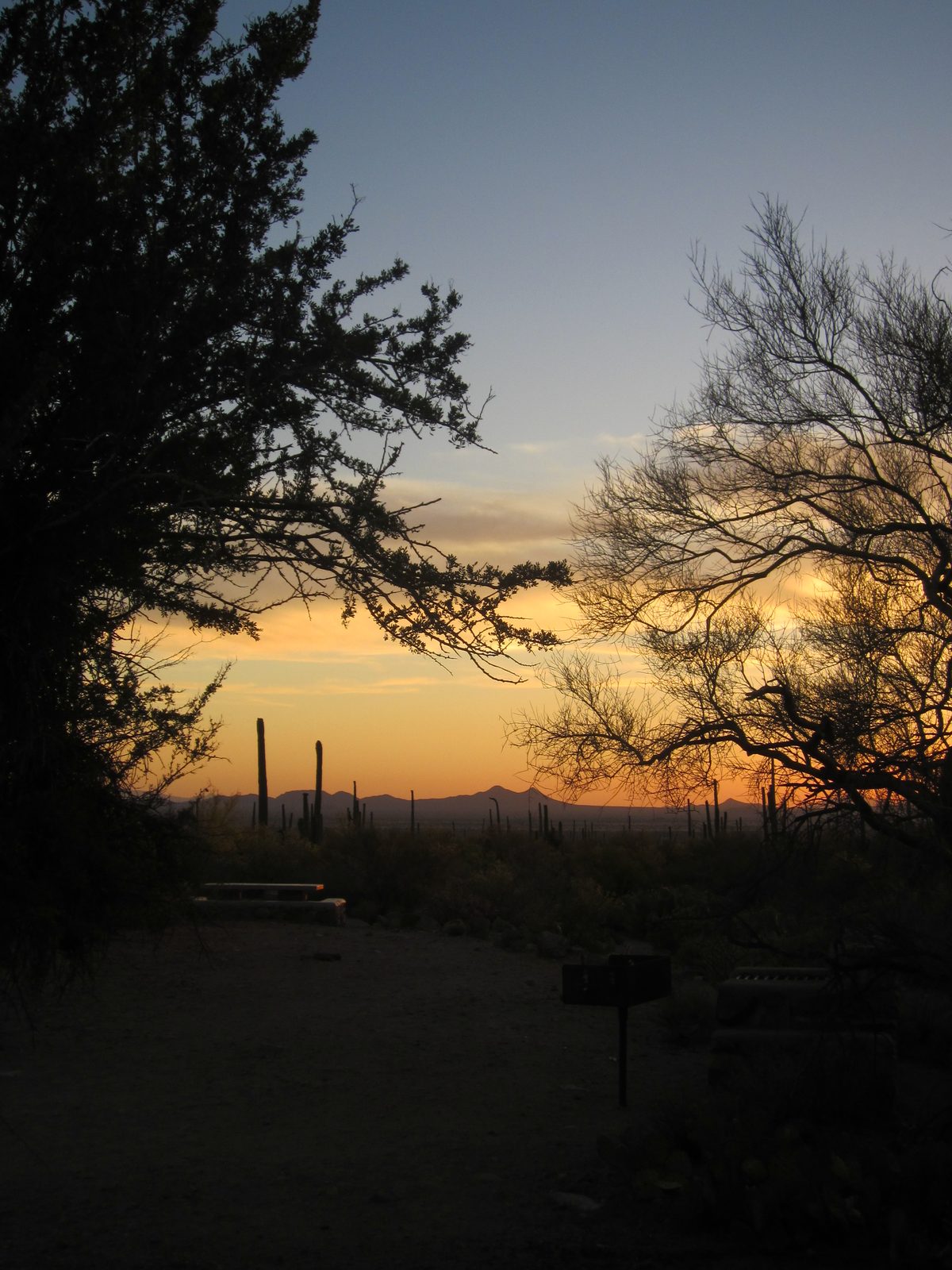 More sunset, across some other picnic areas.