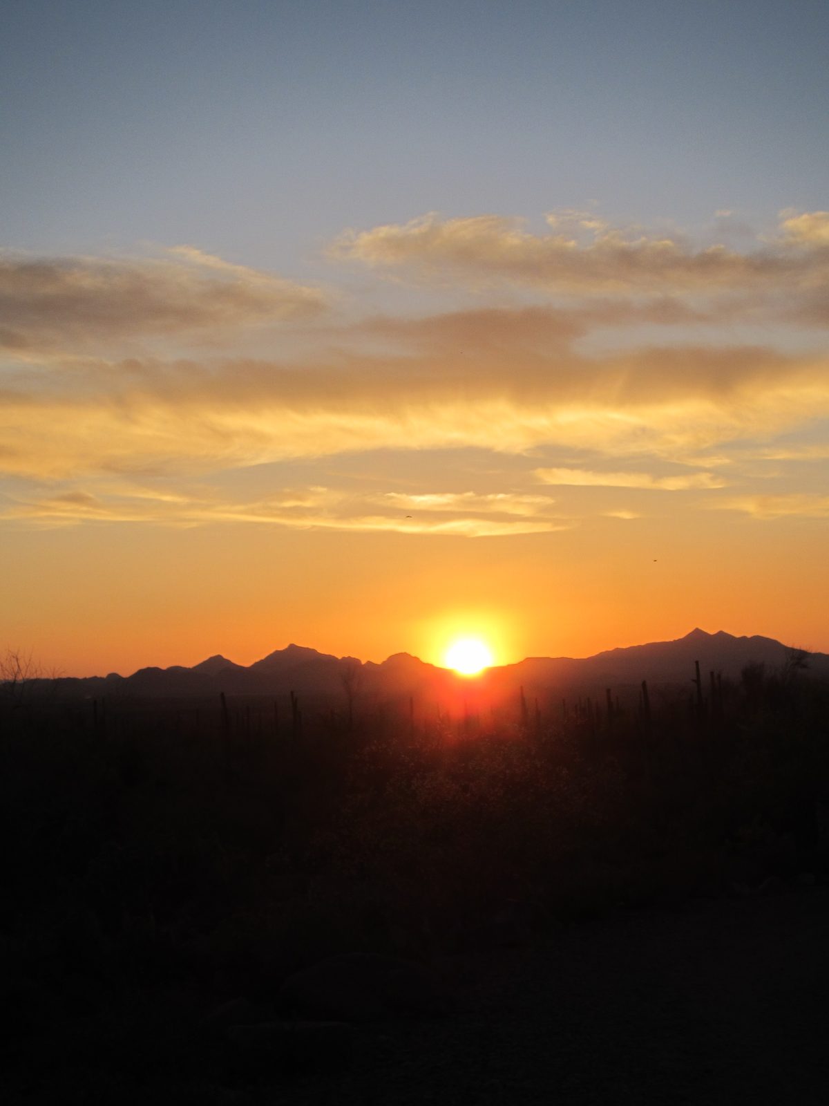 It was quite a nice evening.