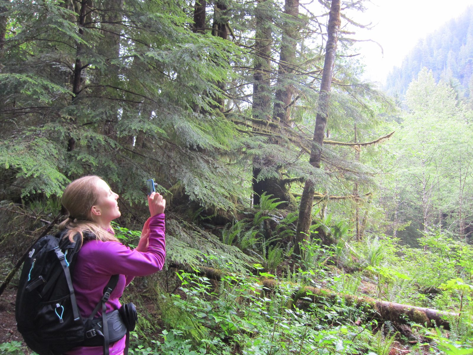 Diana takes a picture of what might be Mount Si -- a beautiful mountain near North Bend that is...
