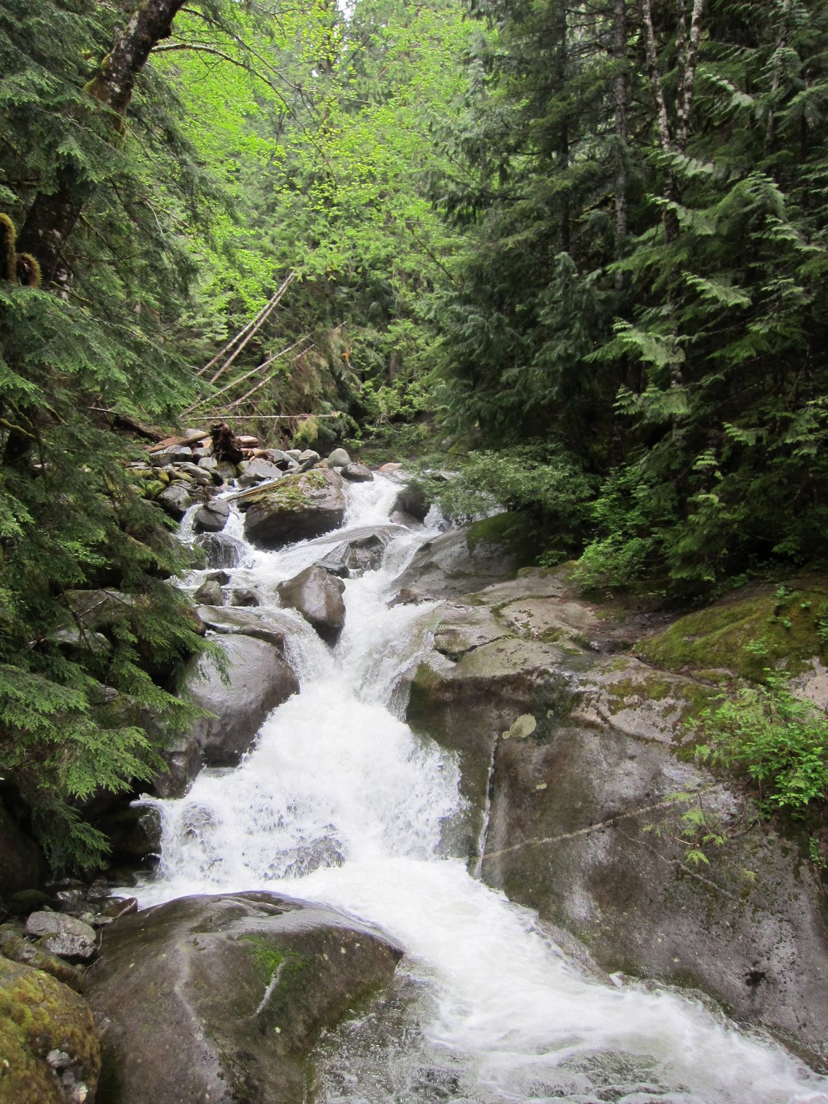 The waterfall by itself.  There was a great pool just below the frame that looked like it'd be...